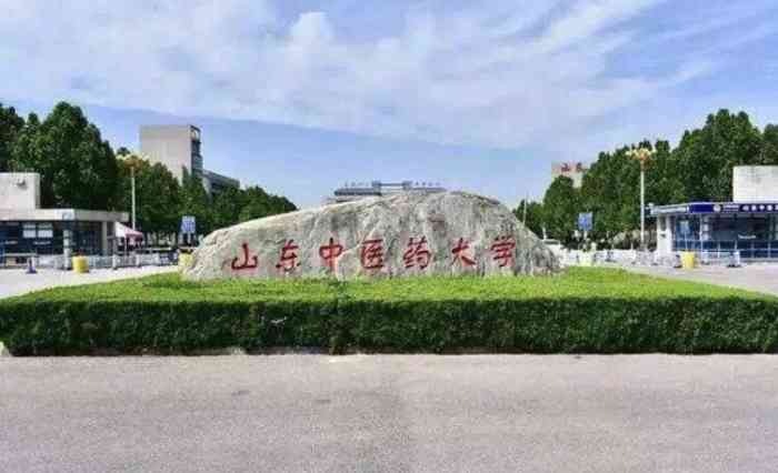 山东中医药大学-"山东中医药大学,山东省内最高中医药