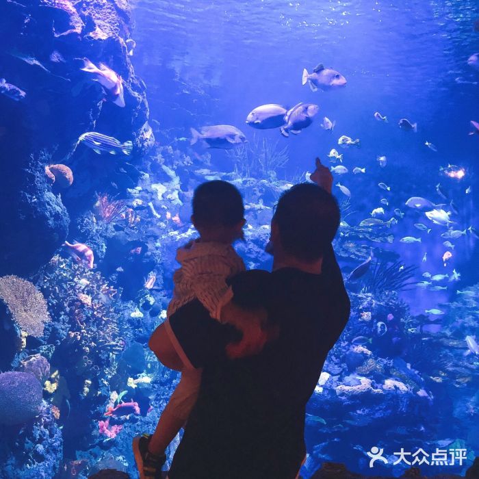 上海长风海洋世界图片