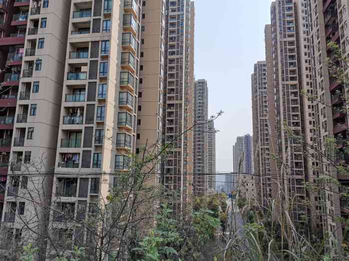 碚都佳园-"夜晚的碚都比白日更为安静,刚刚新的摇号分