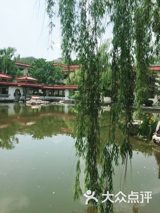 舜耕山庄四时万和自助餐厅图片 第6张