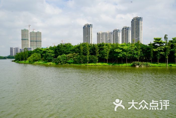 绿岛湖湿地公园图片 - 第7张