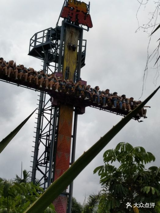 白天项目不是很多啊,买了5个全票,还买了.-深