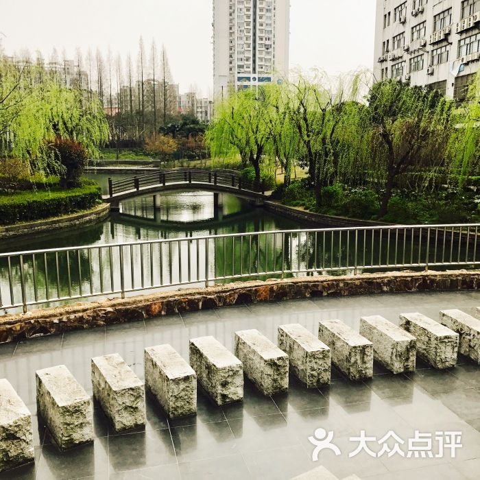 上南公园图片 - 第116张
