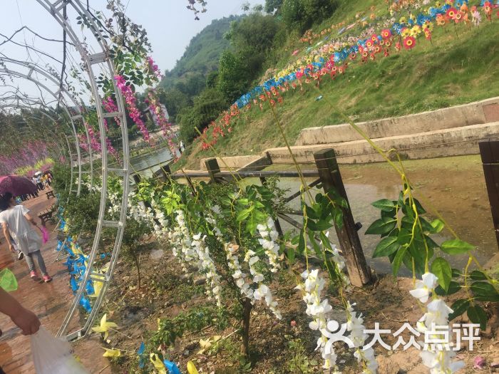 大湾·花仙谷图片 - 第3张
