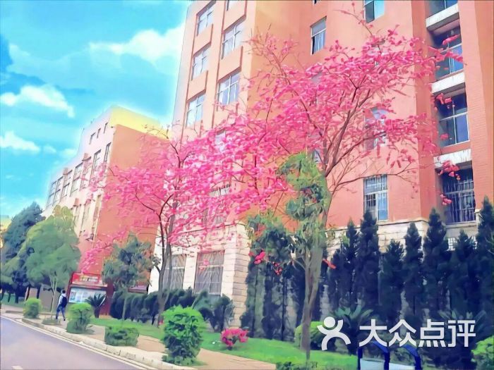 云南财经大学(龙泉校区)图片 - 第5张