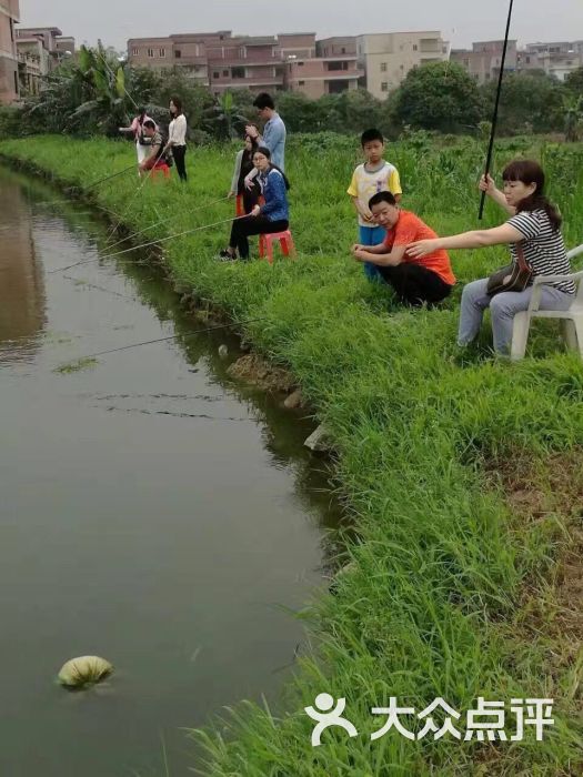 钓鱼情景