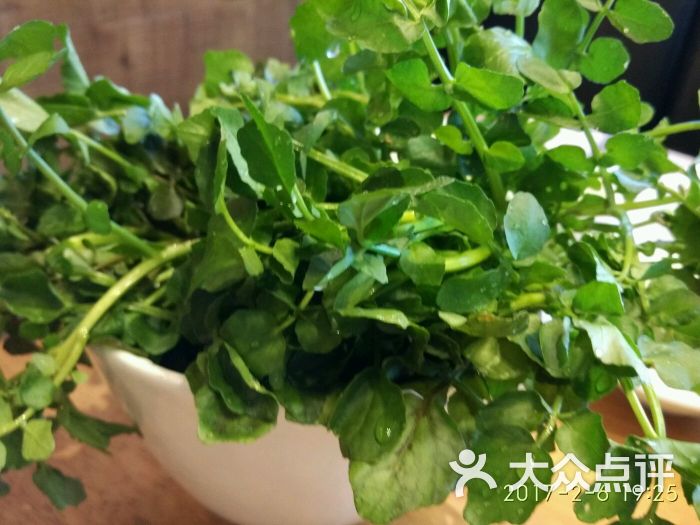 王家桥重庆老火锅西洋菜图片 - 第681张