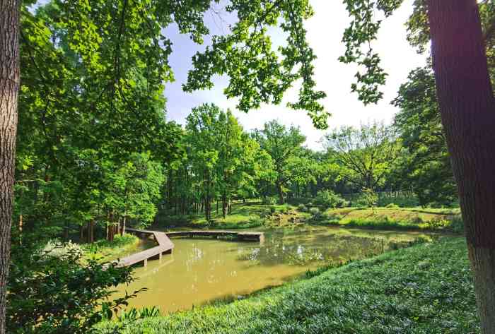 杭州植物园-"杭州植物园位于浙江省杭州市西湖区桃源岭,.