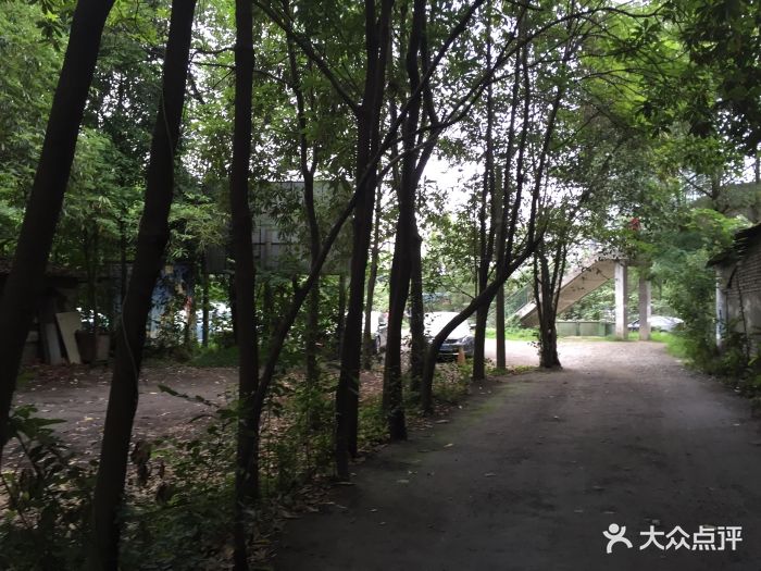 开云体育- 开云体育官方网站- 开云体育APP 最新2025四川治疗釉质发育不全三甲医院哪家好