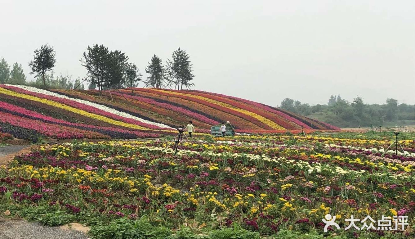 狼牙山花海