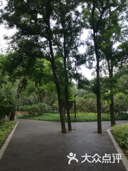 八角公园图片 - 第6张