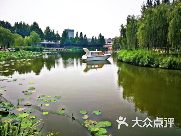 稻香湖自然湿地公园图片 - 第2张