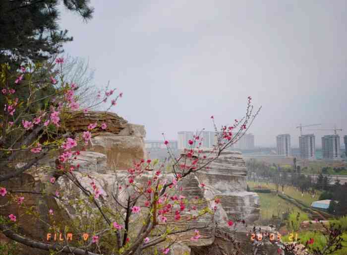 鹦鹉寺公园-"【临潼鹦鹉寺公园】 98公园的的前世 .