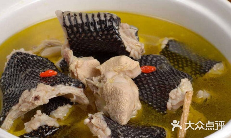 龙凤汤《老母鸡炖蛇》