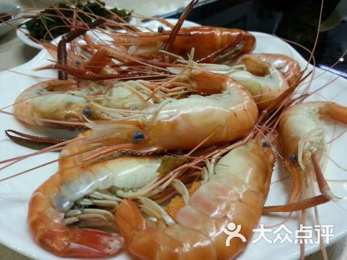 南京金钱豹_南京金钱豹人均(2)