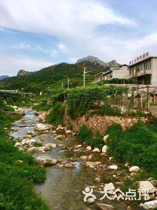 葡萄沟风景区-图片-昌黎县周边游-大众点评网