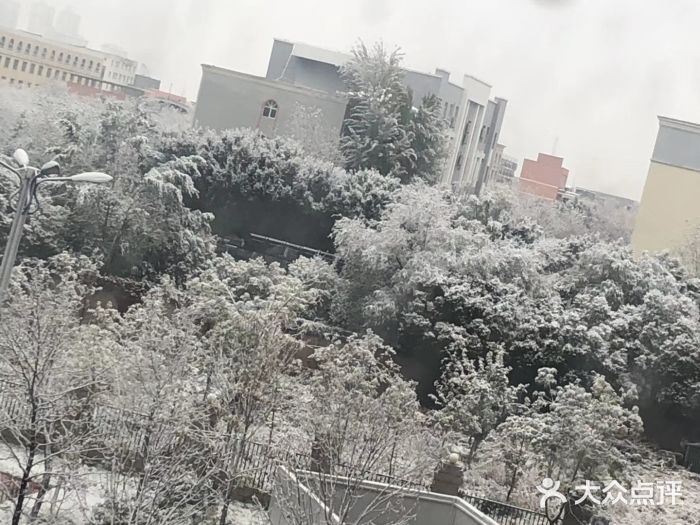 石河子大学图片