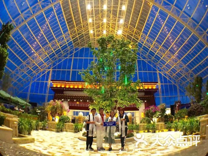 拉萨圣地天堂洲际大饭店-图片-拉萨酒店-大众点评网