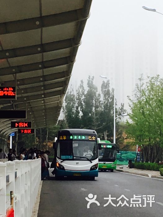 公交车(隧道4路-环境 图片-青岛生活服务-大众点评网