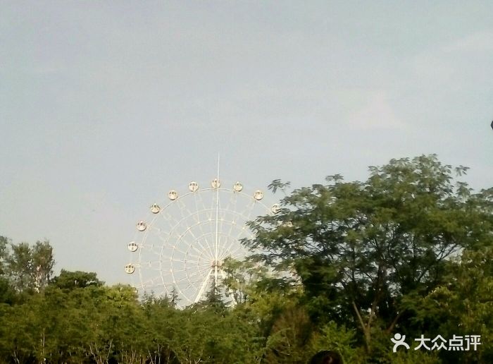 去的时候樱花还没全开,路上有迎春花,去玩.-樱