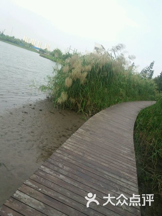 绿岛湖湿地公园图片 - 第5张