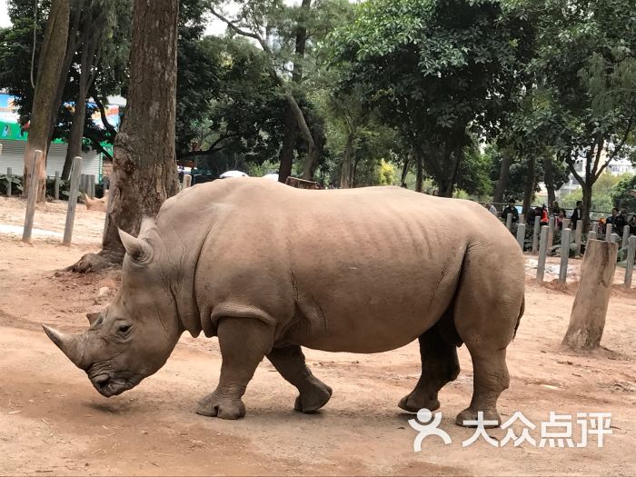 广州动物园图片 - 第152张