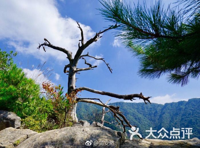 大别山主峰景区白马尖图片 第12张