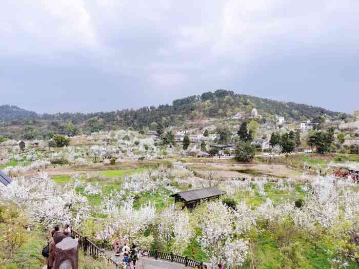 梨花溪风景区-"这条信息显示的是 梨花溪风景区 地址永商.
