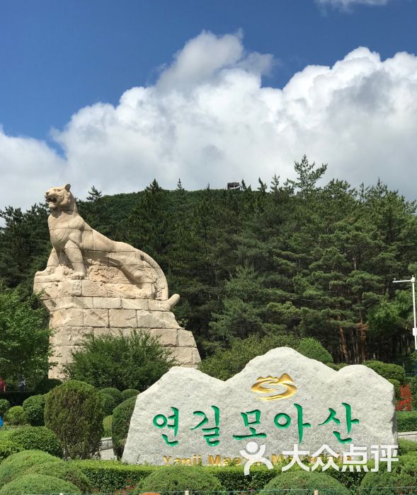 帽儿山森林公园-图片-延吉市周边游-大众点评网