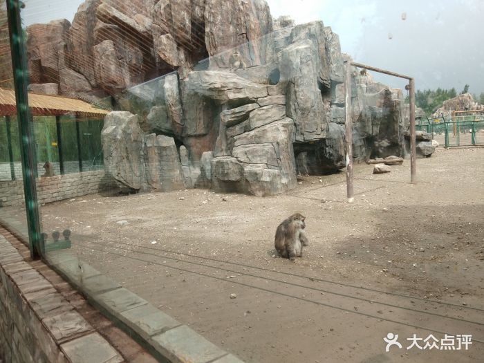 大青山野生动物园图片 - 第10张