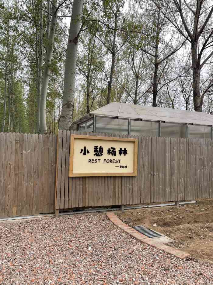 小憩杨林露营基地