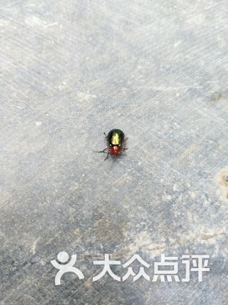 【响水滩公园】电话_地址_价格_营业时间_七