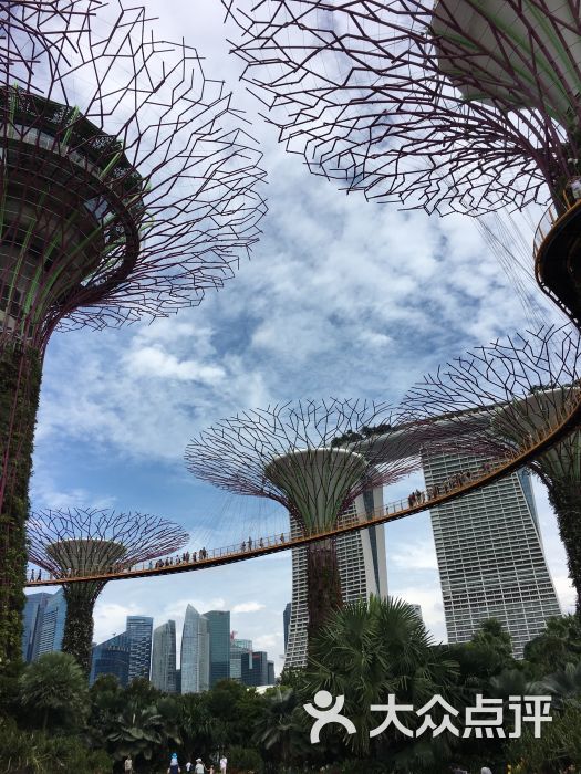 ocbc skyway-图片-新加坡景点玩乐-大众点评网