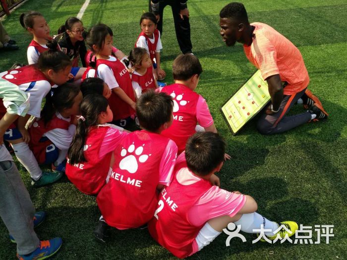 创林青少年足球训练营足球培训-图片-上海运动