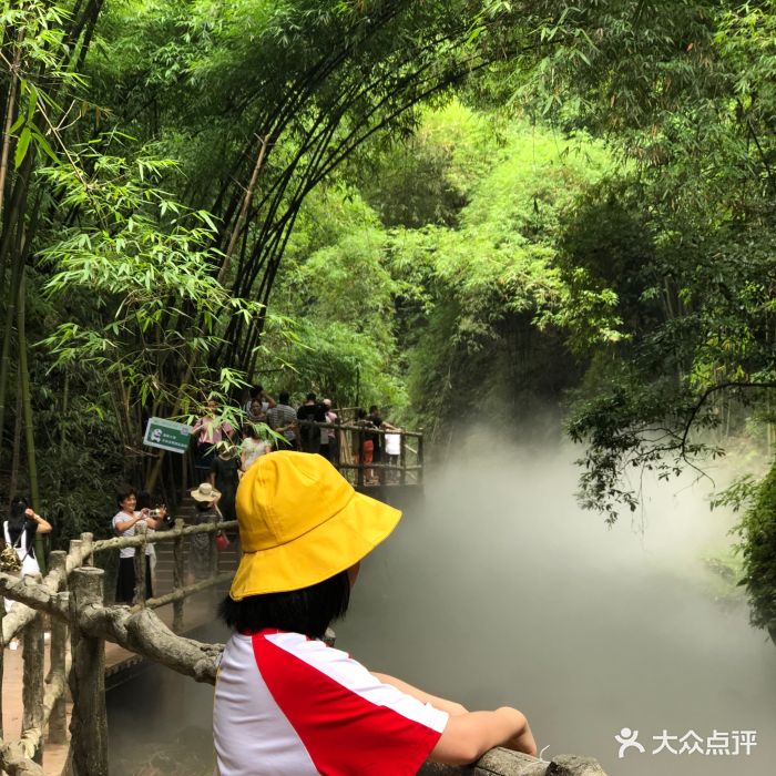 川西竹海峡谷景区-图片-邛崃市周边游-大众点评网