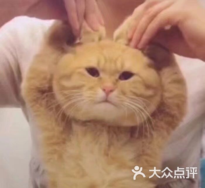 优行相照相馆:今天来拍结婚登记照。因为实在