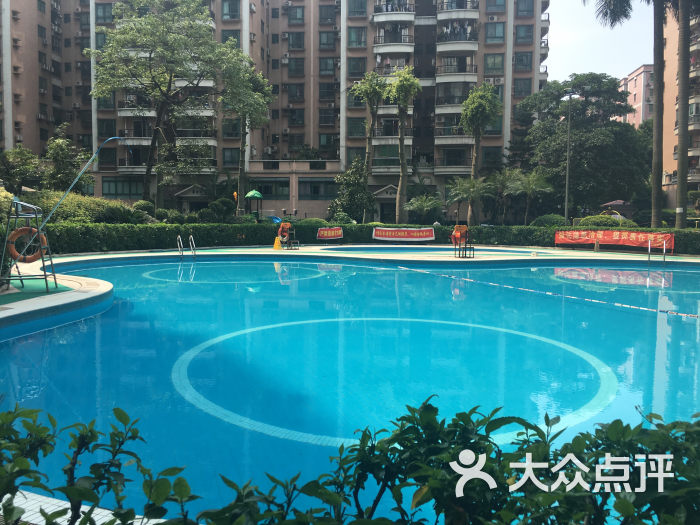 东圃广场小区游泳池-图片-广州运动健身-大众点评网
