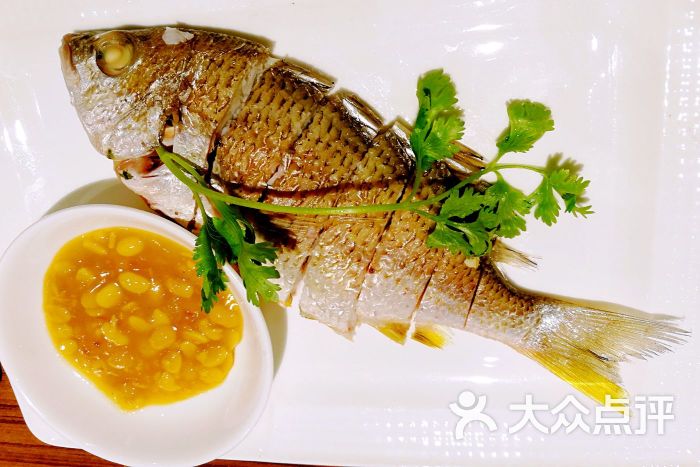 黄墙鱼