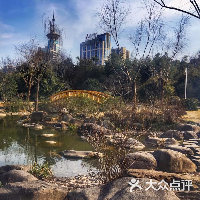新虹桥中心公园-图片-上海周边游-大众点评网