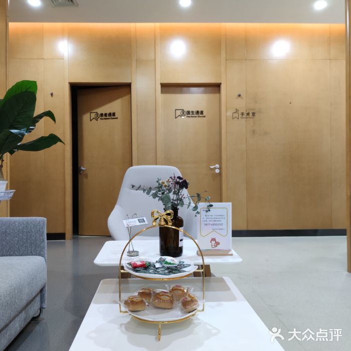 松鼠口腔图片