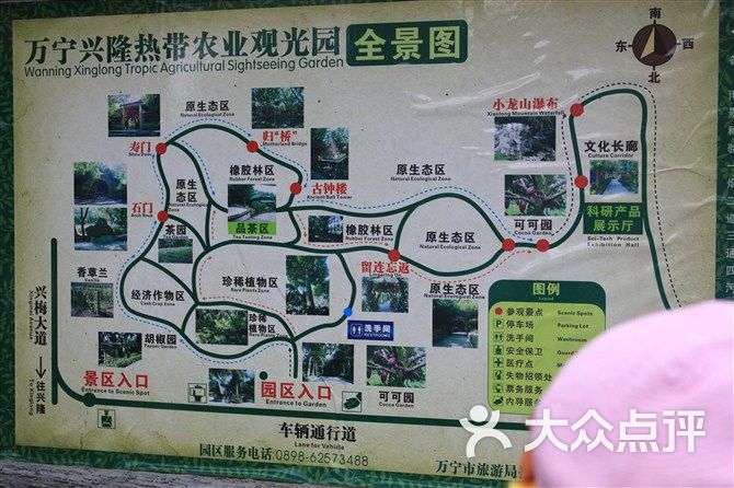 兴隆热带植物园