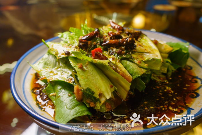 活捉凤尾