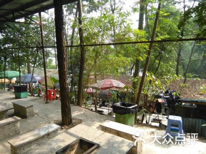大夫山聚友烧烤场-图片-广州休闲娱乐-大众点评网
