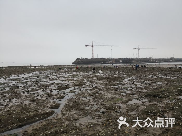 多岛海风景区-图片-岚山区周边游-大众点评网