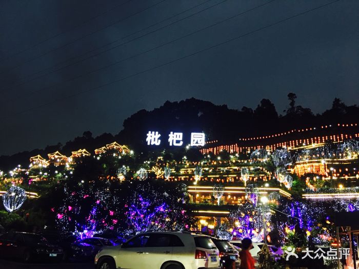 枇杷园食为鲜火锅(金竹村店)图片 - 第1864张