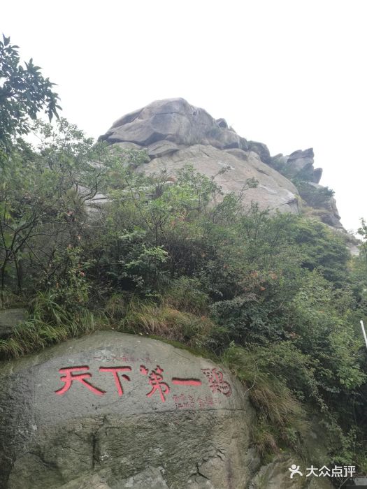 鸡公山风景区-图片-信阳周边游-大众点评网