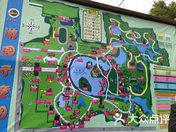 上海野生动物园图片 - 第4张