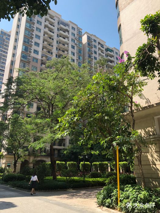 小区环境