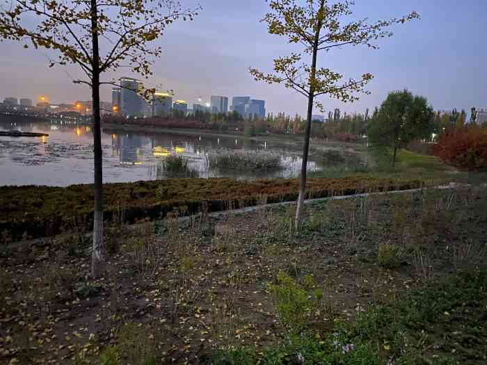 通明湖公园-"原来叫通明湖公园,整体重新规划了一下改