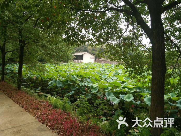 荷花堰旅游度假山庄图片 - 第6张